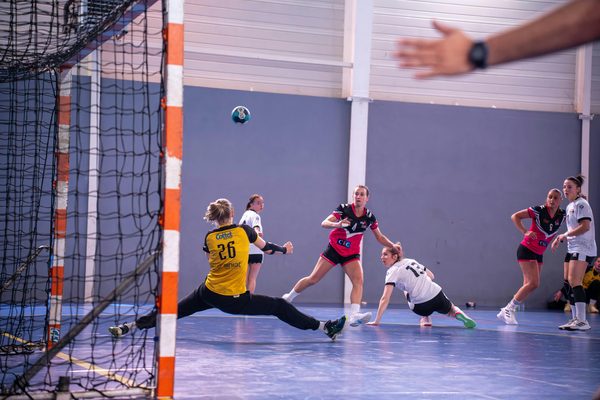 Découvrez les meilleurs buts de handball pour vos besoins sportifs